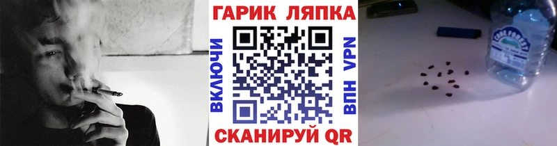 закладки  Рузаевка  ГАШ ice o lator 